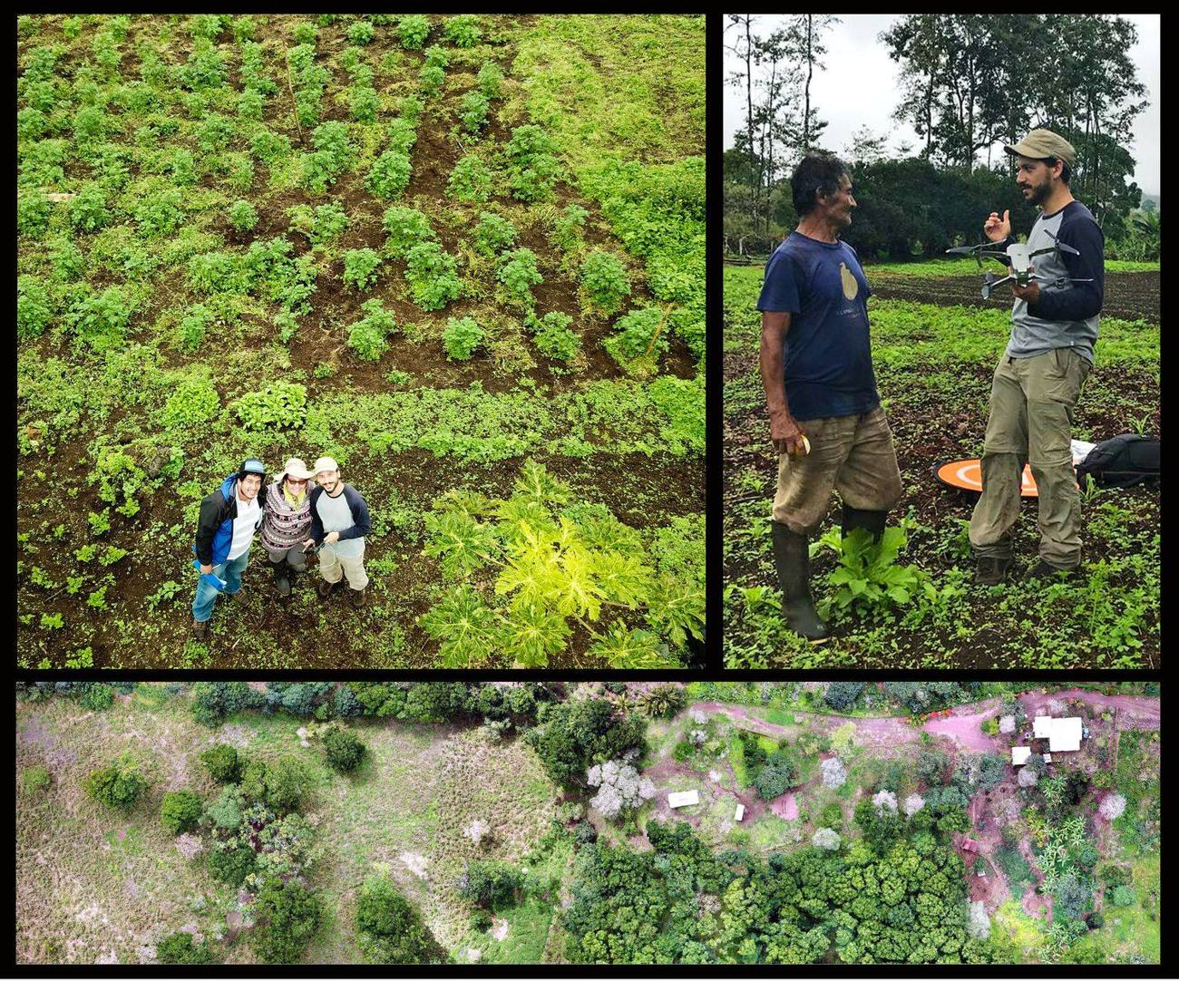 Collage of a drone-mapping workshop with Ministry of Agriculture technicians in Galápagos farm fields